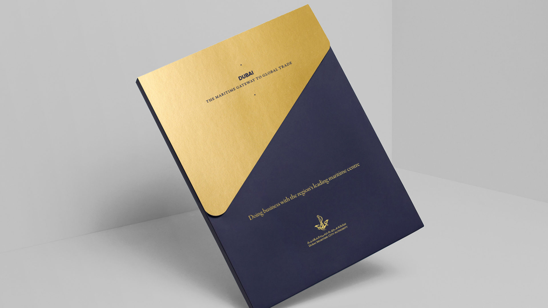 Premium Brochure Design Cover Packaging